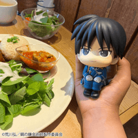Lookup Fullmetal Alchemist Edward Elric & Roy Mustang set【with gift】 16