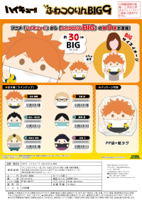 Haikyu!! FUWA KORORIN BIG 9  (ITEM C) 3