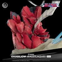 Tsume Art Grimmjow Jeagerjaques - Ikigai - BLEACH - photo 8
