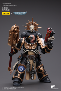 Ultramarines Chaplain(Indomitus) 7