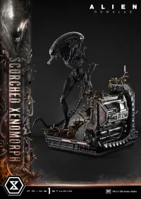 Prime 1 Studio Museum Masterline XL Alien: Romulus Scorched Xenomorph - Alien (Movie Franchise) - photo 34