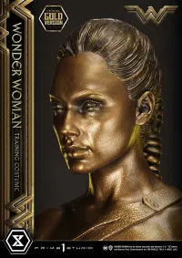 Prime 1 Studio Museum Masterline Wonder Woman (Film) Wonder Woman Training Costume Gold Version - DC Comics - photo 17