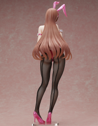 Minako Sanada Bunny Ver. 5