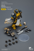 Imperial Fists Librarian Consul with Force Axe and Bolt Pistol 10