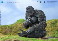HIYA TOYS Exquisite Basic Series GODXILLA x KONG THE NEW EMPIRE Kong - Godzilla - photo 25