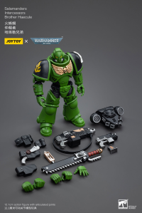 Salamanders Intercessors Brother Haecule 8