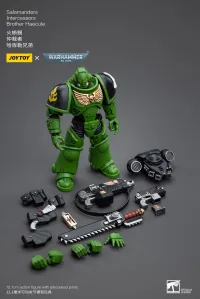 JOYTOY Salamanders Intercessors Brother Haecule - Warhammer 40K - photo 8