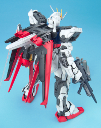 PG Skygrasper+Aile Striker 4