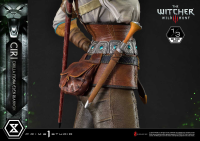 Museum Masterline The Witcher 3: Wild Hunt Ciri Fiona Elen Riannon 24