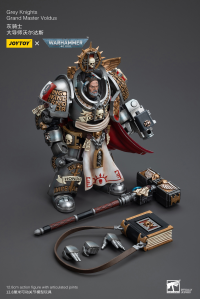 Grey Knights Grand Master Voldus 8