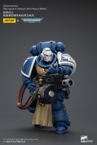 Ultramarines Sternguard Veteran with Heavy Bolter 4