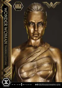 Prime 1 Studio Museum Masterline Wonder Woman (Film) Wonder Woman Training Costume Gold Version - DC Comics - photo 13
