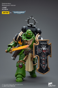 Salamanders Bladeguard Veteran 7