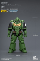 Salamanders Intercessor with Bolt Rifle, Bolt Pistol and Chainsword 16