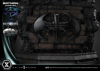 Museum Masterline Batman Forever (Film) Robin Night Color Edition 13