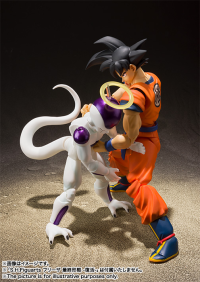 Son Goku -A Saiyan Raised On Earth- Dragon Ball Z, TAMASHII NATIONS S.H.Figuarts 5