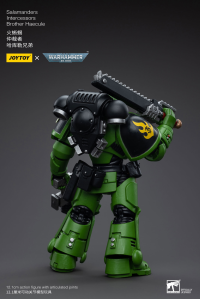 Salamanders Intercessors Brother Haecule 3