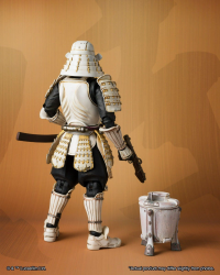 Ashigaru Stromtrooper  (Remnant) 2