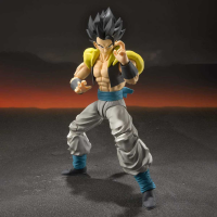 Super Saiyan God Super Saiyan Gogeta 5