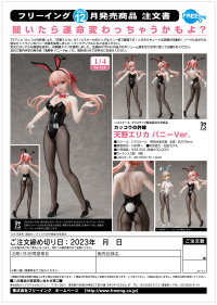 Erika Amano: Bunny Ver. 10