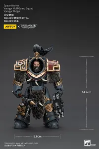 JOYTOY Space Wolves Varagyr Wolf Guard Squad Varagyr Thegn - Warhammer 40K - photo 6