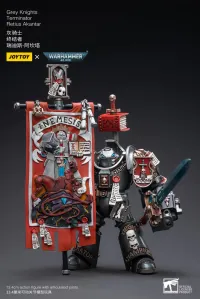 JOYTOY Grey Knights  Terminator  Retius Akantar - Warhammer 40K - photo 1