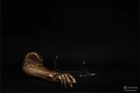 PureArts Elden Ring: Arm Of Malenia Life-Size Replica - Elden Ring - photo 23