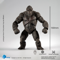EXQUISITE BASIC: "GODZILLA VS KONG" - Kong 2