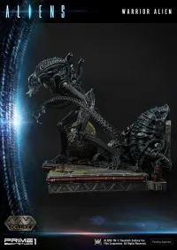 Prime 1 Studio Premium Masterline Aliens (Comics) Warrior Alien DX Bonus Version - Alien (Movie Franchise) - photo 85