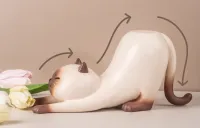 Shenzhen Mabell Animation Development ShitaukenoNEKO(Siamese cat) - Non-Scale Figures - photo 3