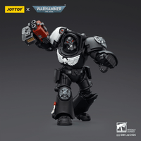 Raven Guard Terminator 2 with Power Fist and Storm Bolter 6