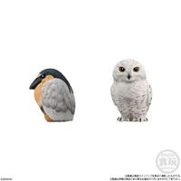 BANDAI Tenori Friends 10 - Bird - Blind Boxes - photo 4