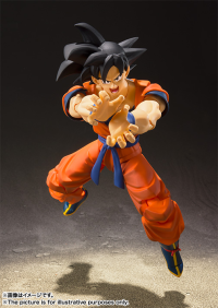 Son Goku -A Saiyan Raised On Earth- Dragon Ball Z, TAMASHII NATIONS S.H.Figuarts 2