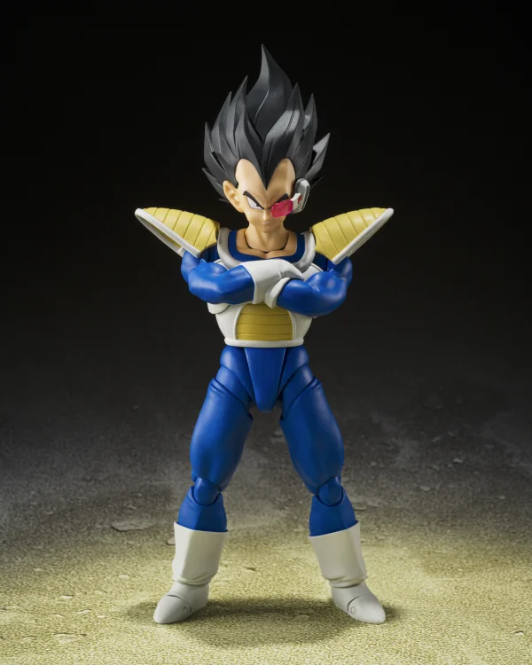 TAMASHII NATIONS VEGETA -24000 POWER LEVEL- "Dragon Ball Z", TAMASHII NATIONS S.H.Figuarts (P-Bandai Exclusive) - Dragon Ball Z