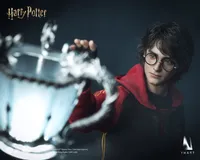 Queen Studios INART - Harry Potter and the Goblet of Fire - Harry Potter 1/6 Collectible Figure - Harry Potter - photo 7