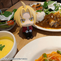 Lookup Fullmetal Alchemist Edward Elric & Roy Mustang set【with gift】 9