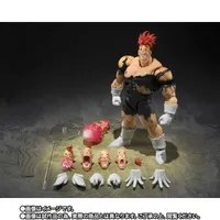 S.H.Figuarts RECOOME 6