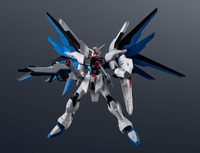 ZGMF-X10A FREEDOM GUNDAM RENEWAL 3