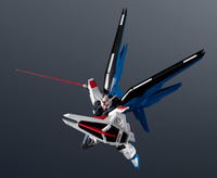 ZGMF-X10A FREEDOM GUNDAM RENEWAL 7