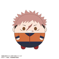 Jujutsu Kaisen Fuwa Kororin Vol. 8 2