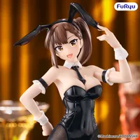 There Is Also a Hole in the Student Organization! BiCute Bunnies Figure -Hisako Kotobuki-