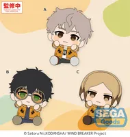 SEGA Hyokopyoko TV Anime "WIND BREAKER" Plush Vol.3 (EX) - WIND BREAKER - photo 1